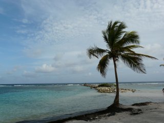 Playa Caribeña